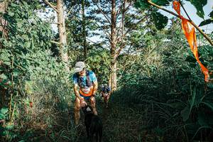 BIB: 
                            <button type="button" onclick="openModal(25658273)" class="btn btn-primary btn-sm float-right btn-popup" data-toggle="modal" data-target=".modal-high-quality">
                        <i class="fas fa-shopping-cart"></i> Add to Cart
                    </button>
                                            <button type="button" onclick="isThisMe(25658273, true)" class="btn btn-success btn-sm float-right btn-popup btn-isme hidden" data-toggle="tooltip" data-placement="bottom" title="นี่คือรูปของคุณใช่ไหม คลิกที่นี่เพื่อเอาเข้าอัลบั้ม">
                        <i class="fas fa-plus"></i> Add to album
                    </button>
                    <button type="button" onclick="isThisMe(25658273, false)" class="btn btn-warning btn-sm float-right btn-popup btn-isnotme hidden">
                        <i class="fas fa-ban"></i> Remove from album
                    </button>